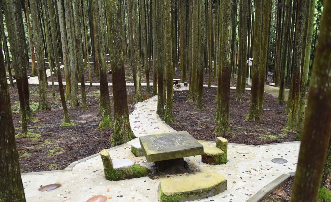 景区新建的步游 道  (2).JPG